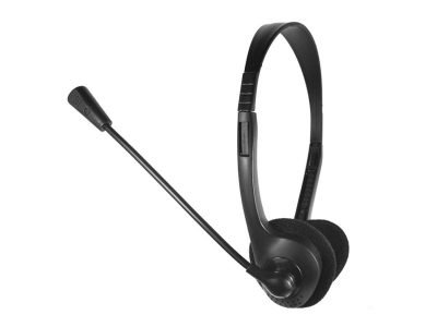 Computer headset with mic